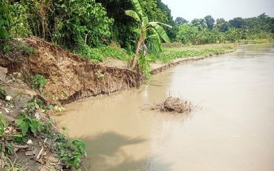 গড়াইয়ের ভাঙনে বিলীন ১০ একর জমি, হুমকিতে ৫০০ পরিবার