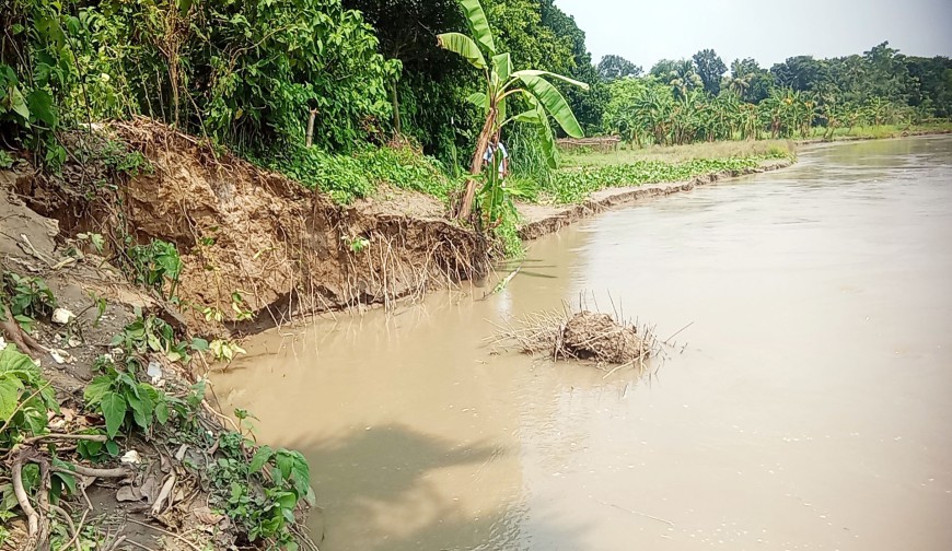 গড়াইয়ের ভাঙনে বিলীন ১০ একর জমি, হুমকিতে ৫০০ পরিবার