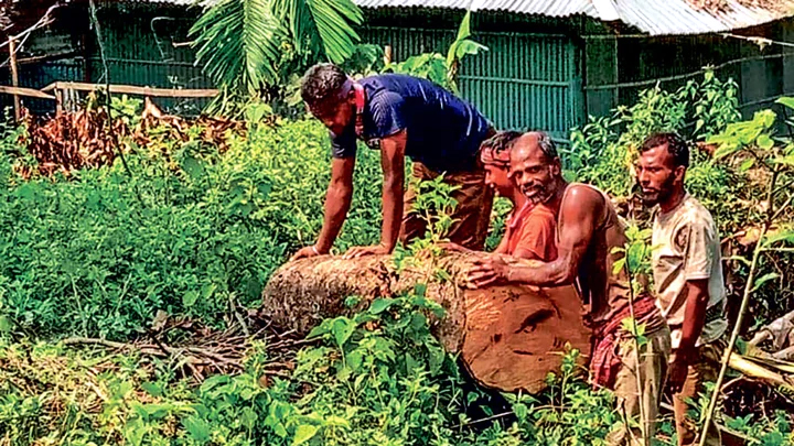চট্টগ্রামে রেলওয়ের জমির বন উজাড়, তবুও নীরব রেল বিভাগ