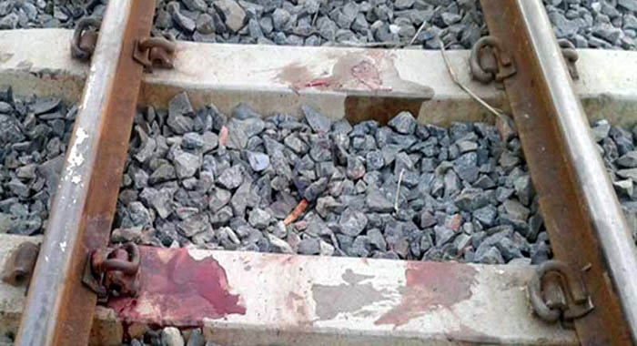 শায়েস্তাগঞ্জে ট্রেনে কাটা পড়ে এক ব্যক্তির মৃত্যু