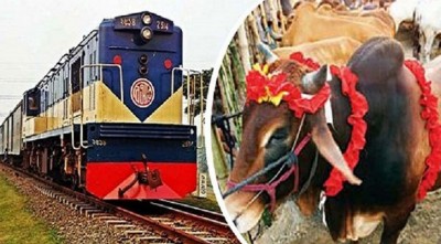 ময়মনসিংহ-জামালপুর থেকেও চলছে ‘ক্যাটল ট্রেন’