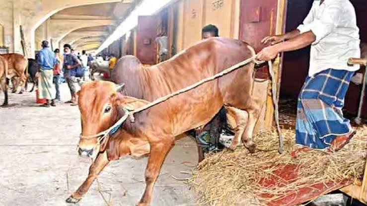 ঈদে পশু পরিবহনে লাভবান ক্যাটল স্পেশাল ট্রেন
