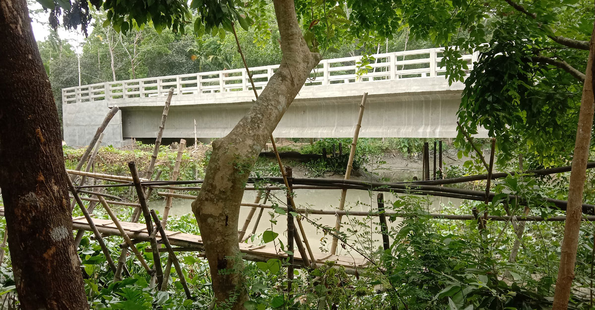 সমতল থেকে ৩০ ফুট উঁচু আড়াই কোটি টাকার সেতু, কাজে আসে না কোনো