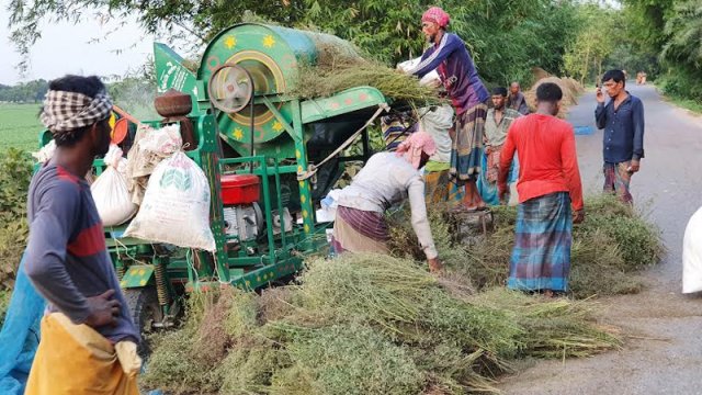 রাস্তায় ফসল মাড়াই, দুর্ঘটনার শঙ্কা