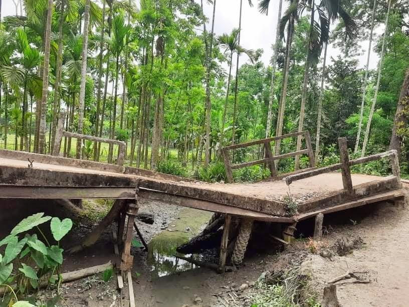 ৫ বছর ধরে ভেঙে পড়ে আছে ব্রিজ, কর্তৃপক্ষের উদাসীনতায় ভোগান্তি হাজার মানুষের