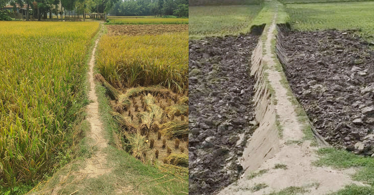 শ্যালিকার সঙ্গে ছোট ভাইয়ের প্রেম, রাস্তা কেটে নিলেন দুলাভাই