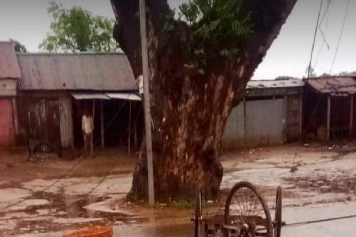 চলন্ত ভ্যানে বিদ্যুতের তার পড়ে দুজনের মৃত্যু