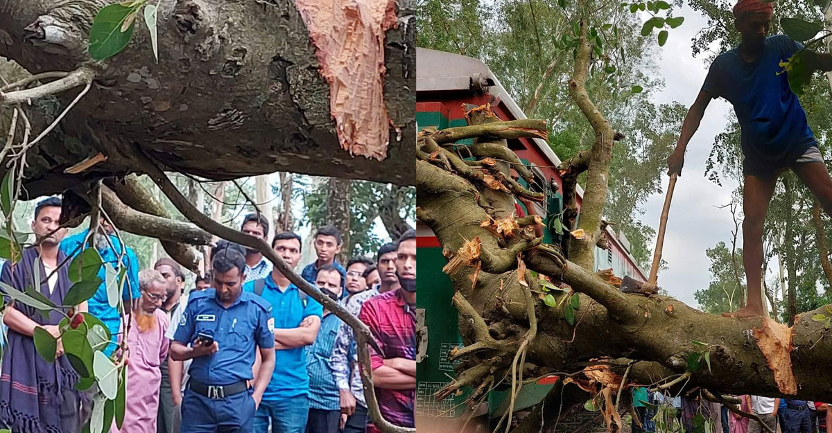 ঝড়ে রেললাইনে গাছ, সাড়ে ৪ ঘণ্টা দেরিতে ছেড়ে গেছে ট্রেন