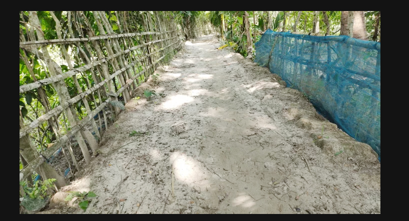স্বেচ্ছাশ্রমের রাস্তার কাজ দেখিয়ে প্রকল্পের টাকা হলো ভাগাভাগি