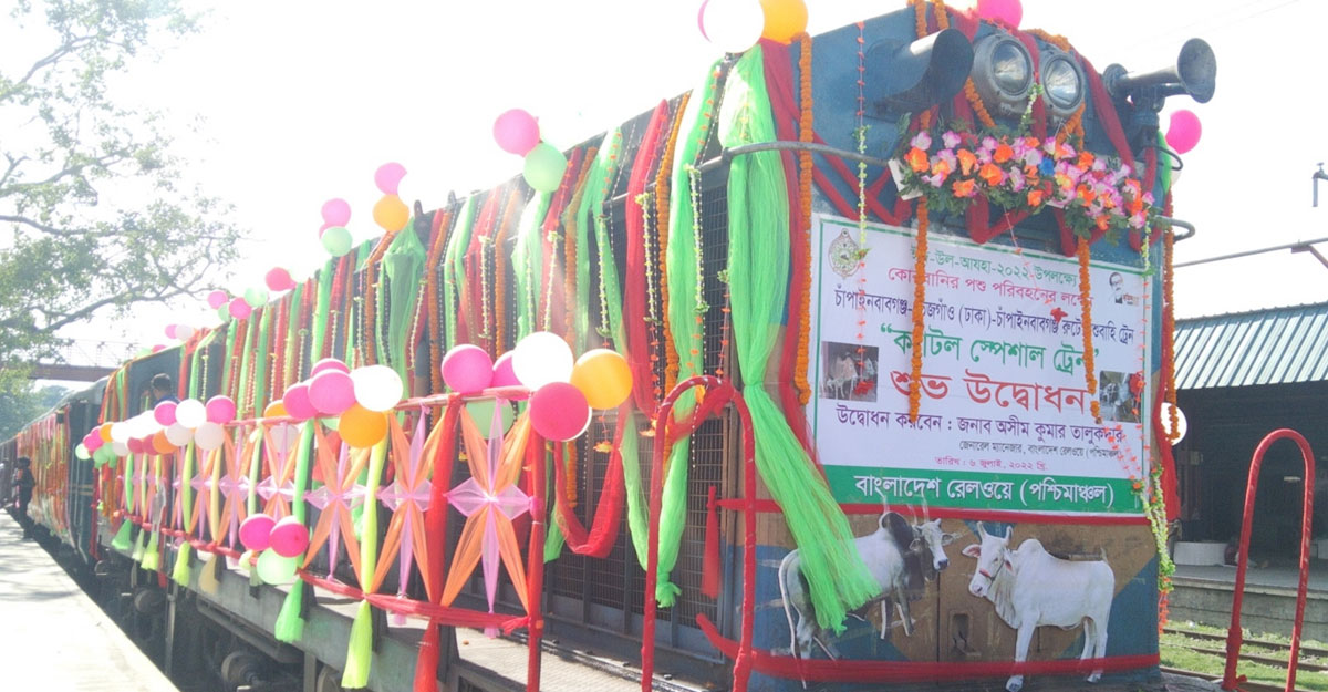 পাবনায় গরু না পেয়ে ছাগল নিয়ে ঢাকায় ফিরল ক্যাটল ট্রেন