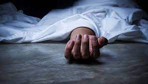 রিকশা থেকে পড়ে নারীর মৃত্যু