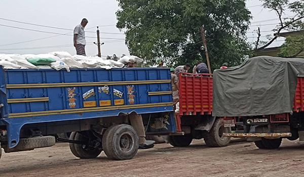 বগুড়ায় সাত ট্রাক সারে ভেজাল, ১৩ চালক ও সহকারী গ্রেফতার