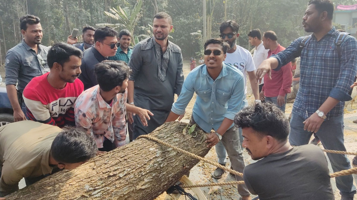 রাস্তা থেকে গাছ সরিয়ে যানজট নিরসন করলেন মাশরাফি
