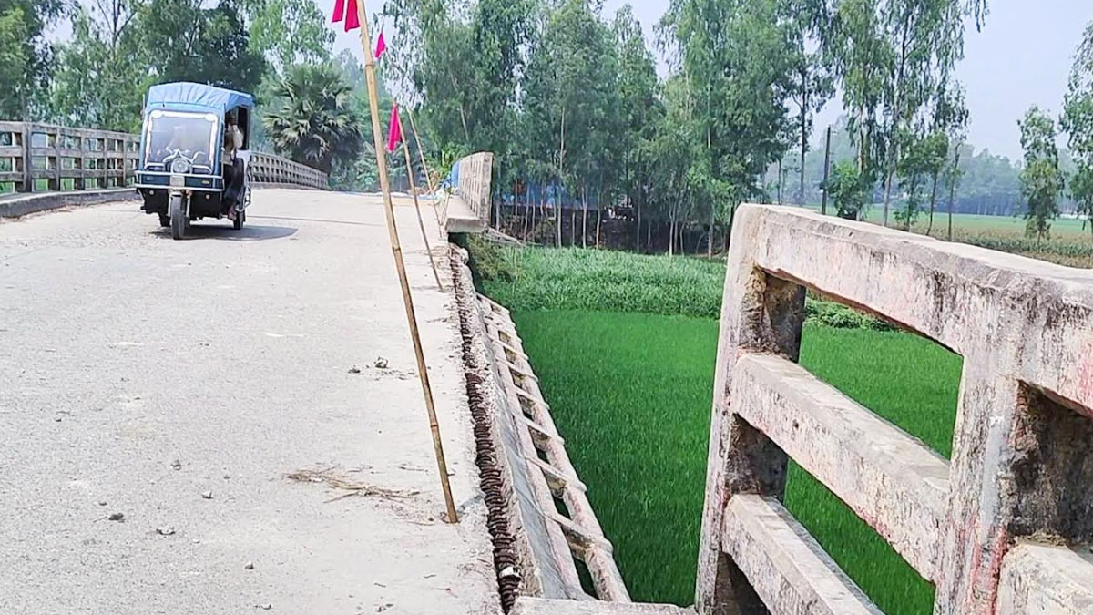 হঠাৎ করেই ভেঙে পড়ল সেতুর রেলিং, দুর্ঘটনার আশঙ্কা
