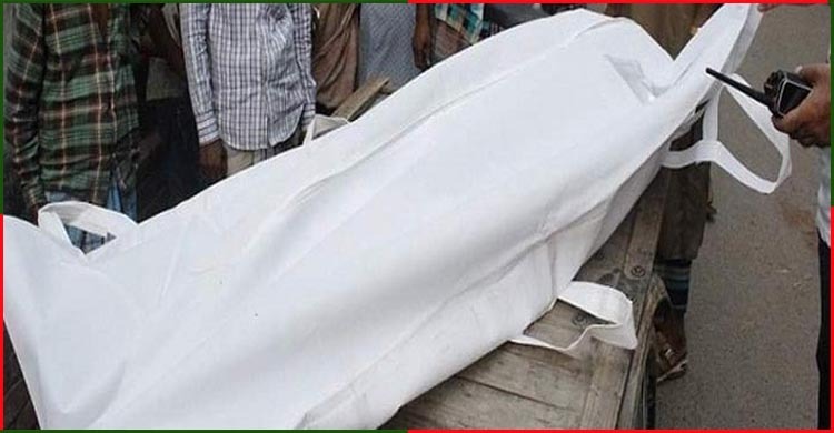 ঢাকা-ময়মনসিংহ মহাসড়কে মুরগিবাহী পিকআপ ও ট্রাকের সংঘর্ষ, নিহত ২