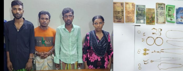 প্রবাসীদের টার্গেট করে মাওয়া হাইওয়ে সড়কে ডিবি পরিচয়ে ডাকাতি