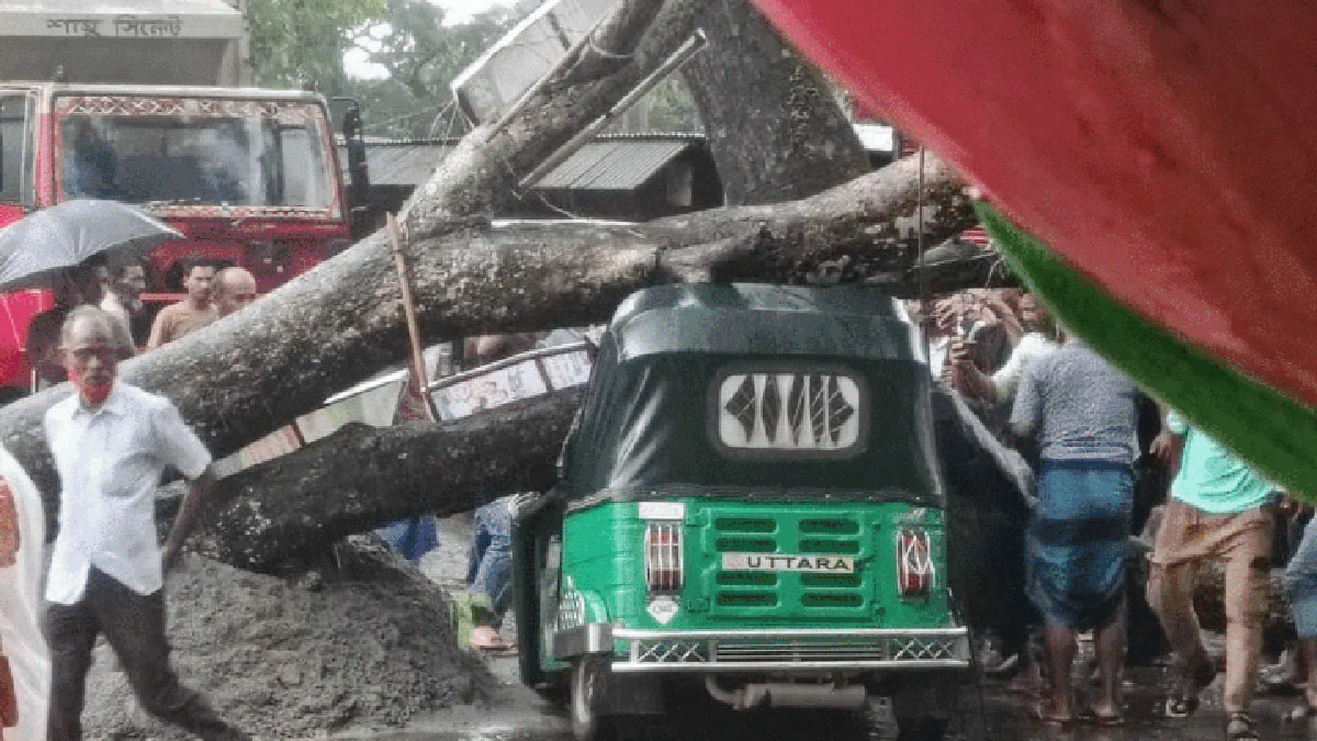 ঝড়ে গাছ পড়ে প্রাণ গেলো অটোচালকের