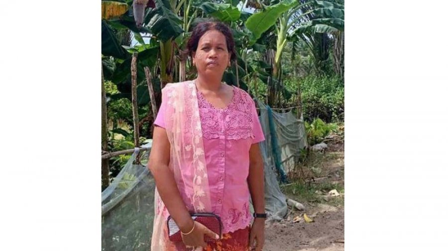 ফুলের বাগানে ঢুকে স্কুলশিক্ষিকাকে চাপা দিলো পিকআপ, ঘটনাস্থলেই মৃত্যু