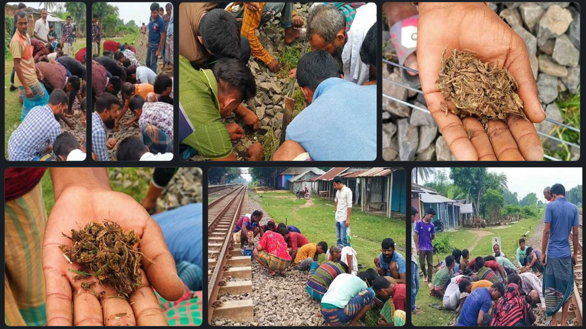 রেললাইনে ছড়ানো ছিটানো গাঁজা কুড়াতে ভিড়!
