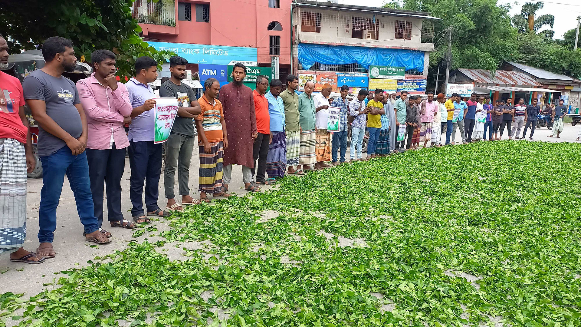 সড়কে কাঁচা চা পাতা ফেলে প্রতিবাদ