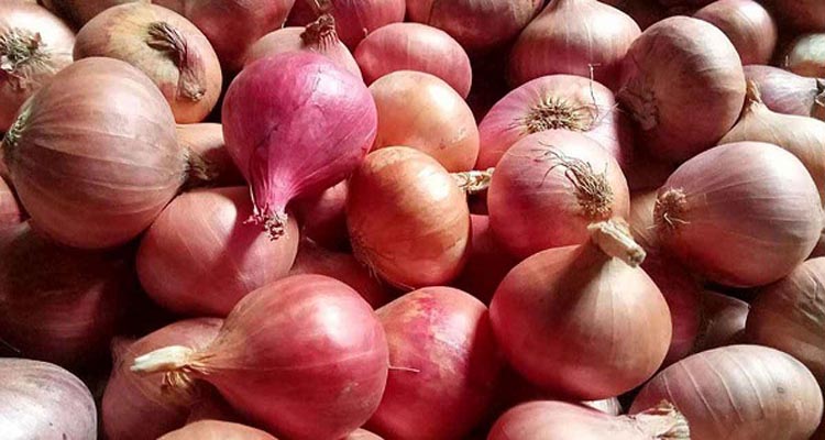 হিলিতে পেঁয়াজের দাম কমেছে কেজিপ্রতি ৫-৭ টাকা