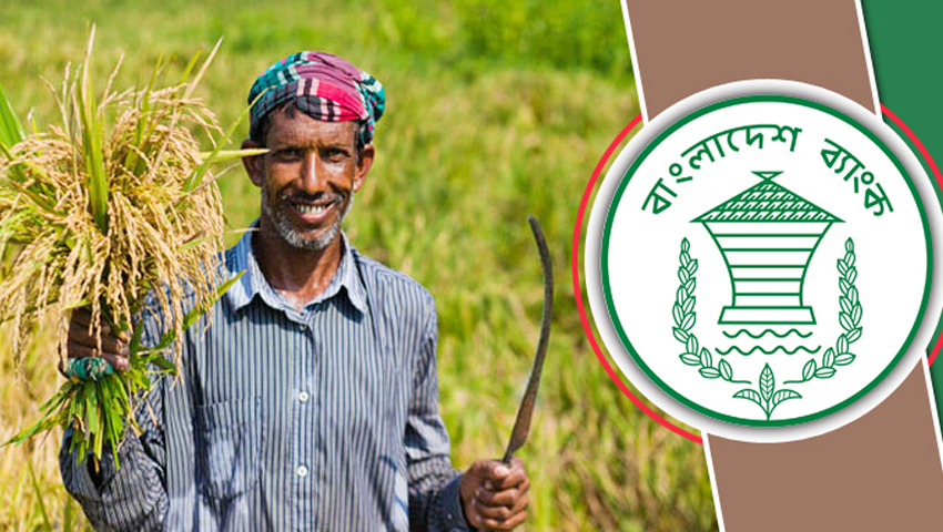 তিন মাসে কৃষি ঋণ বিতরণ করেনি ৭ ব্যাংক