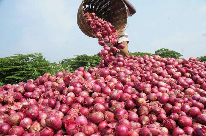 আমদানি করা পেঁয়াজের ৪৭ শতাংশই পাকিস্তানের