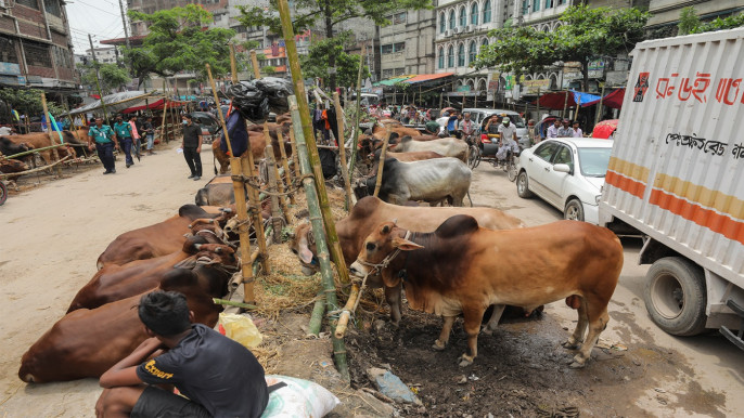সড়কে কোরবানির পশুর হাট বসানো যাবে না : উপদেষ্টা