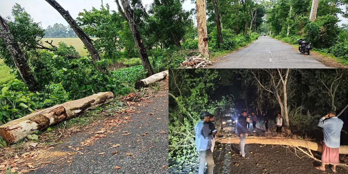 রানীরহাট-বেড়খালী সড়ক রাত হলেই ডাকাতের দখলে