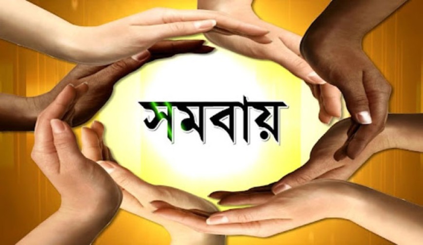 ব্যাংক ব্যবস্থার দুর্বলতায় সক্রিয় সমবায় সমিতি