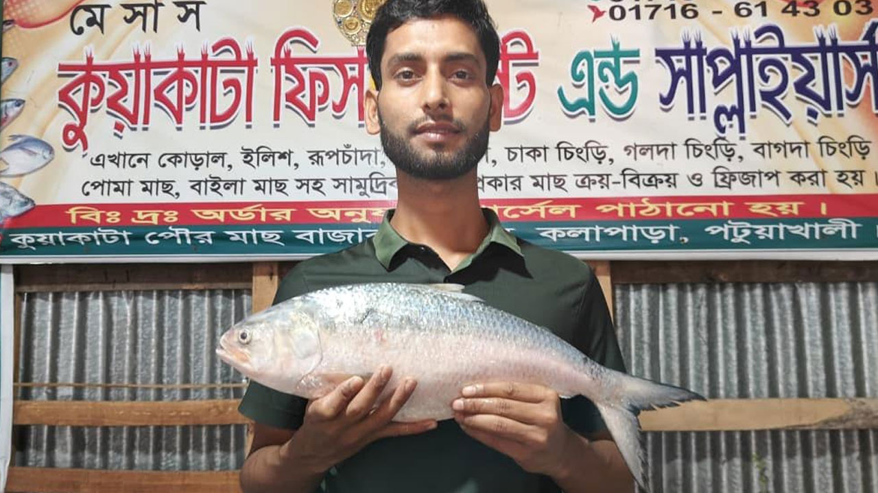 ‘একটি ইলিশ বিক্রির টাকায় পরিবারের এক মাসের বাজার হয়ে যাবে’