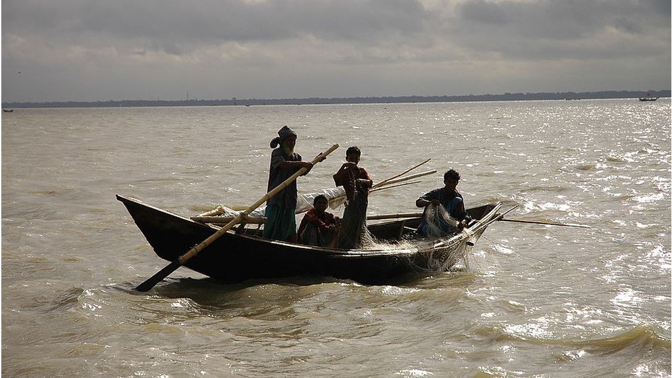 ইলিশ আহরণে বড় পতন, বছরের ব্যবধানে ২৩ শতাংশ হ্রাস