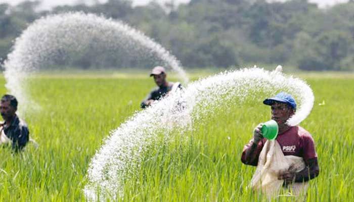 তিন দেশ থেকে ১ লাখ ৫ হাজার মেট্রিক টন সার কিনবে সরকার
