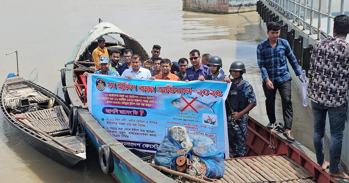 ইলিশের প্রজনন মৌসুমে আকাশপথে অভিযান বিমান বাহিনীর 