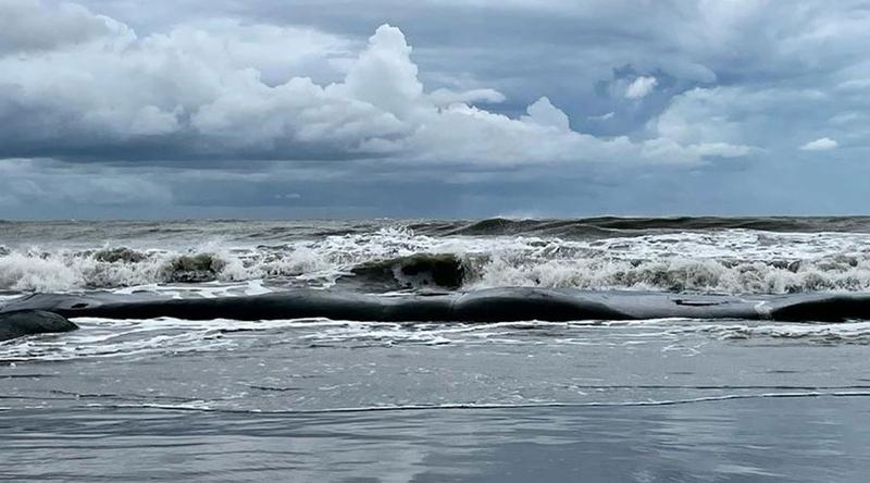 সাগরে গভীর নিম্নচাপ ঘনীভূত হওয়ার আভাস