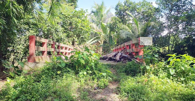 সাবেক সচিবের গাড়িচালকের পুকুরে যেতে ৩১ লাখ টাকার সরকারি সেতু