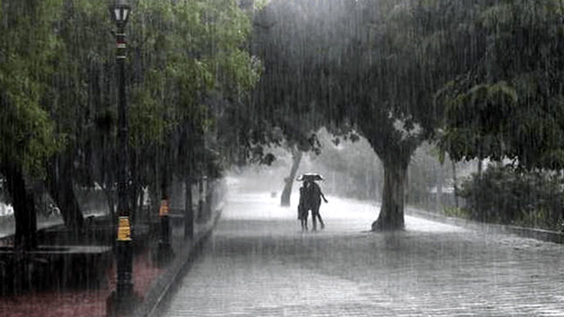 তিন বিভাগে বজ্রসহ বৃষ্টির আভাস