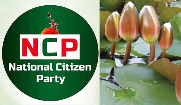 শাপলা কলিসহ নিবন্ধন পেলো এনসিপি