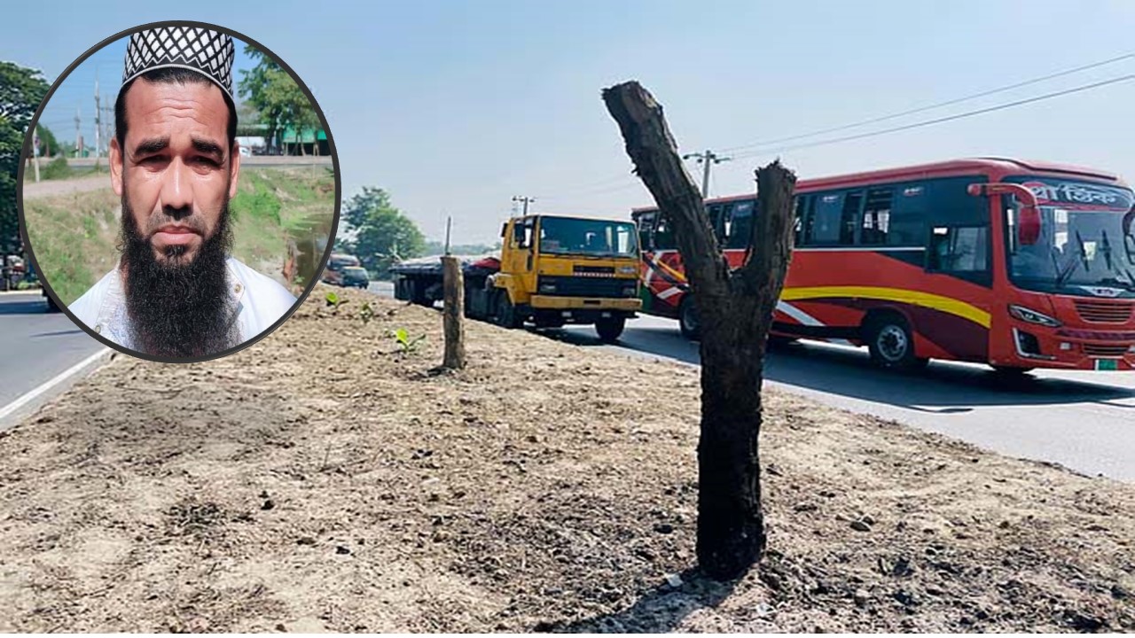 ‘আবর্জনার মতো লাগে’,তাই বিভাজকের ৫২ বকুলগাছ কাটলেন তিনি
