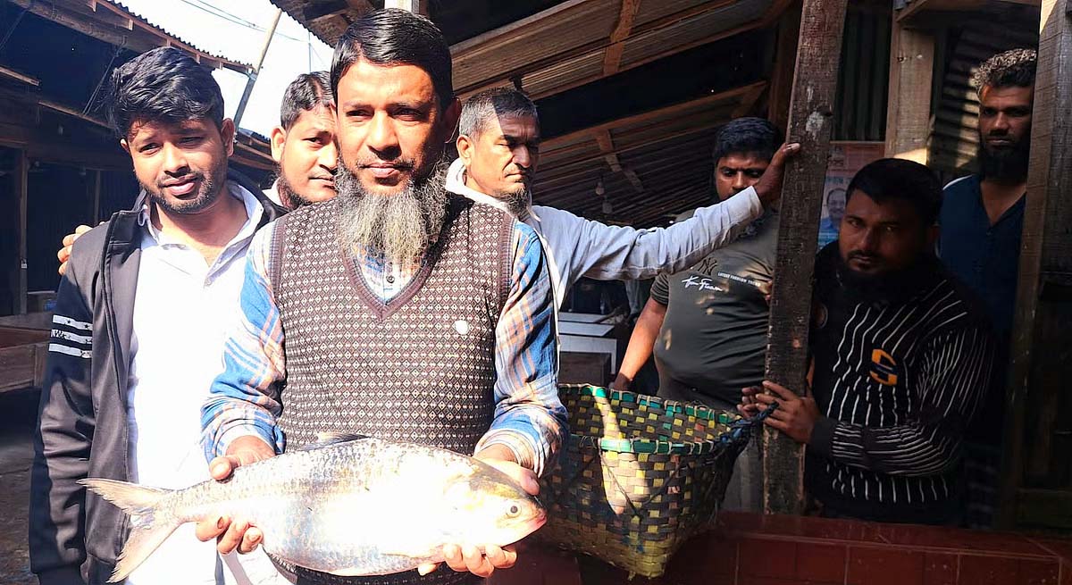 মেঘনায় ধরা পড়েছে ২ কেজির ‘রাজা ইলিশ’, ৮ হাজার টাকায় বিক্রি
