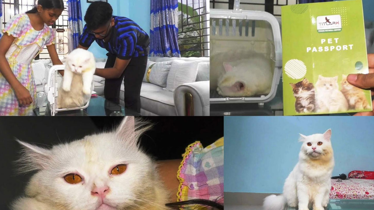 পাসপোর্ট নিয়ে মুন্সীগঞ্জের বিড়াল গেল ইতালিতে!