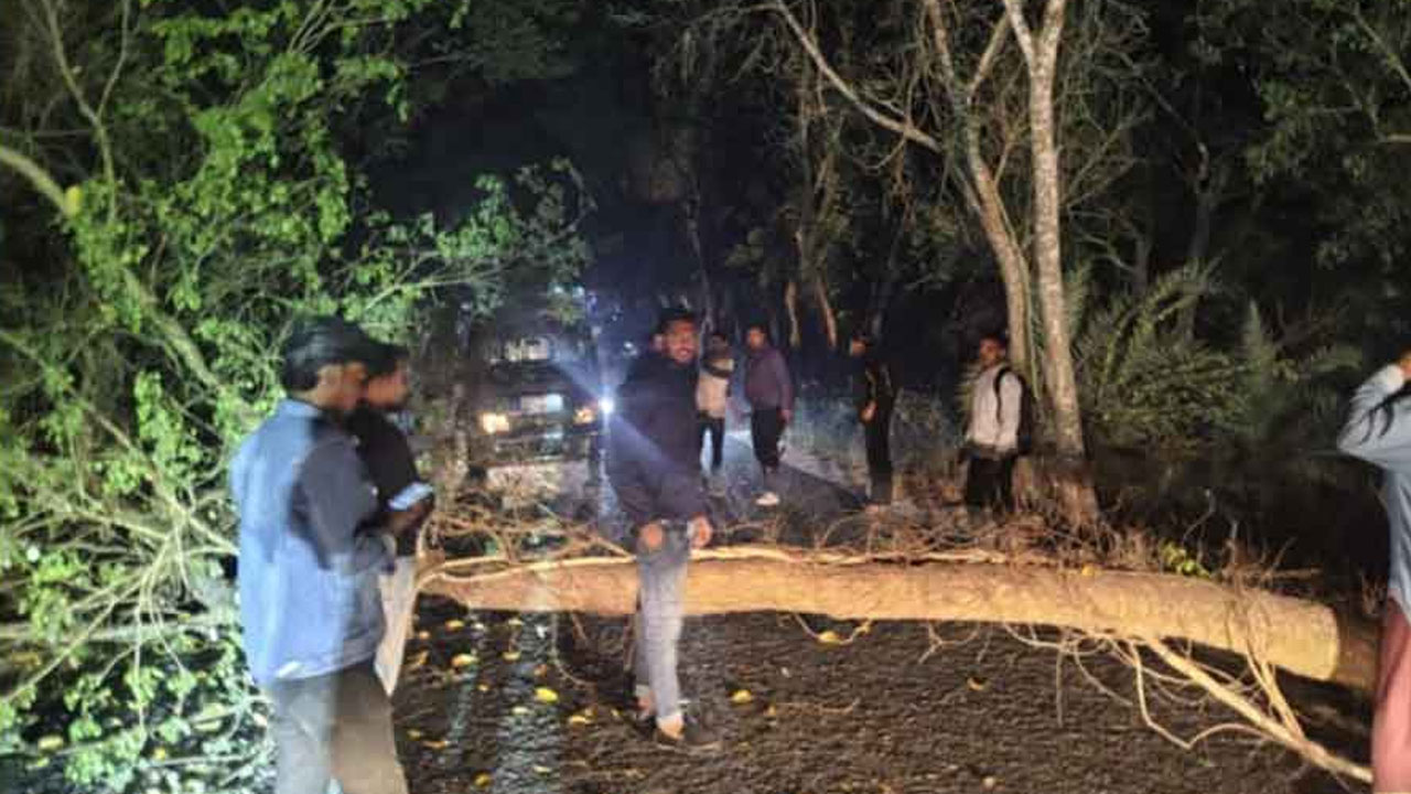 নওগাঁ পোরশা মহাসড়কে গাছ ফেলে সন্ধ্যা থেকে রাত পর্যন্ত চলে ডাকাতি