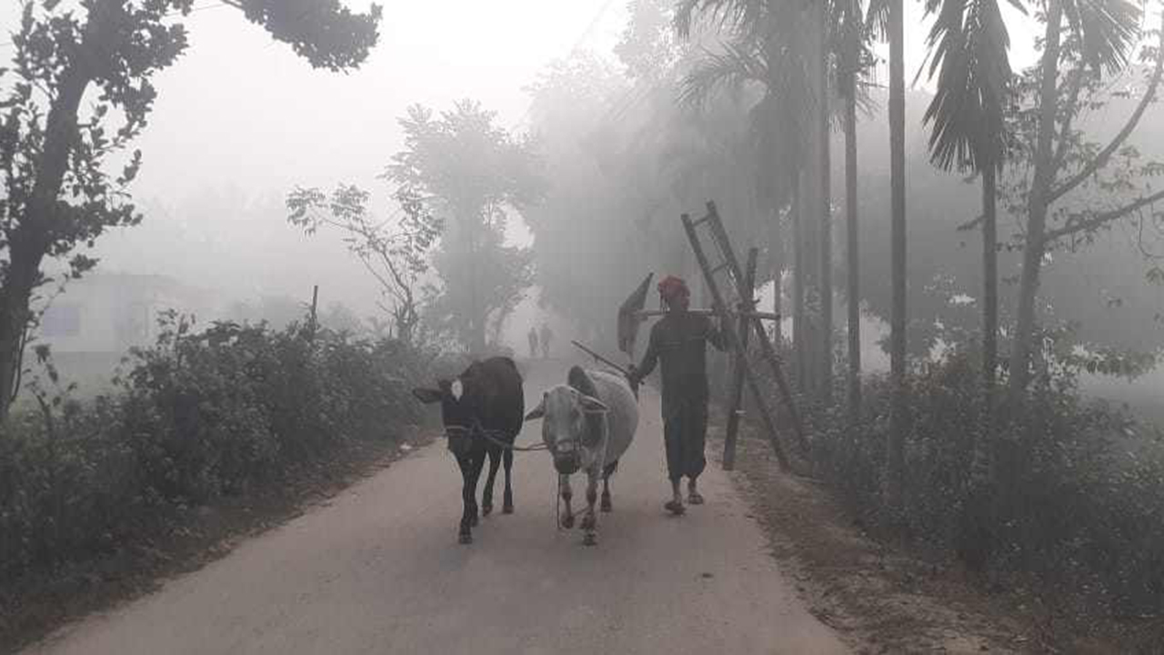 পঞ্চগড়ে বাড়ছে শীতে দাপাপদাপি,তাপমাত্রা নামল ১৪ ডিগ্রিতে