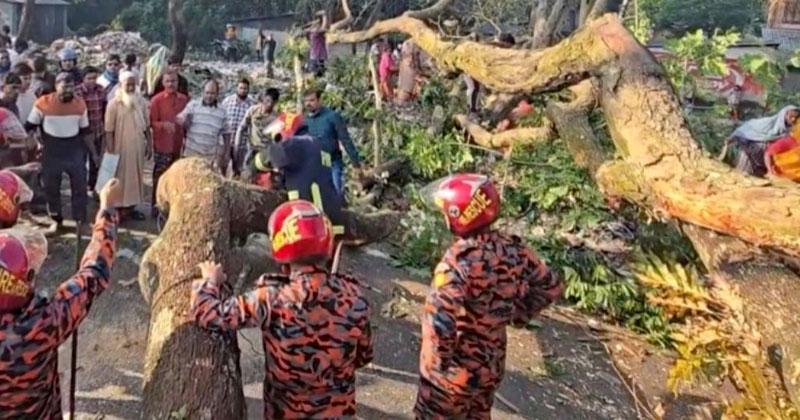মহাসড়কে গাছ ফেলে অবরোধ সৃষ্টি করেছে কার্যক্রম নিষিদ্ধ আওয়ামী লীগ