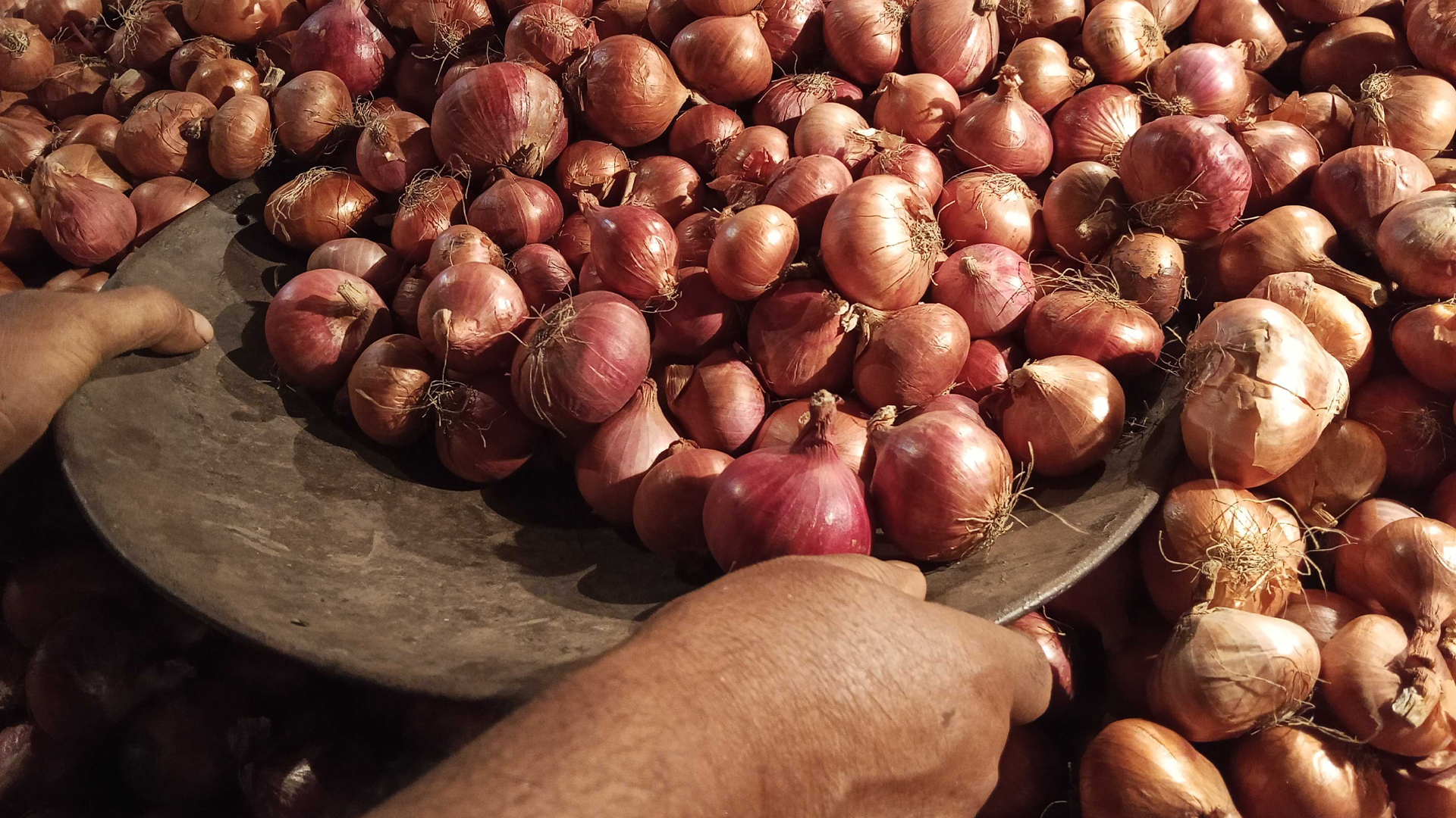 সরবরাহ বাড়ায় পেঁয়াজের দাম কমেছে