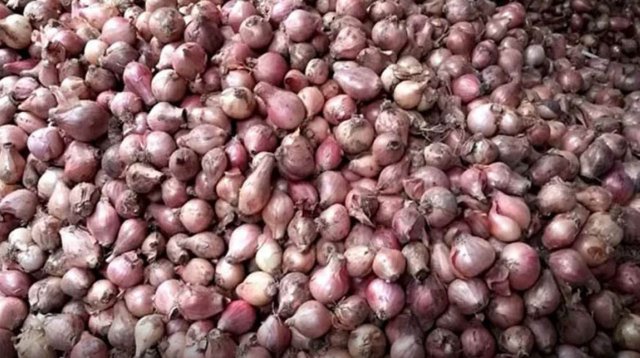 হাত ঘুরেই কৃষকের ৬০ টাকার নতুন পেঁয়াজ ১০০