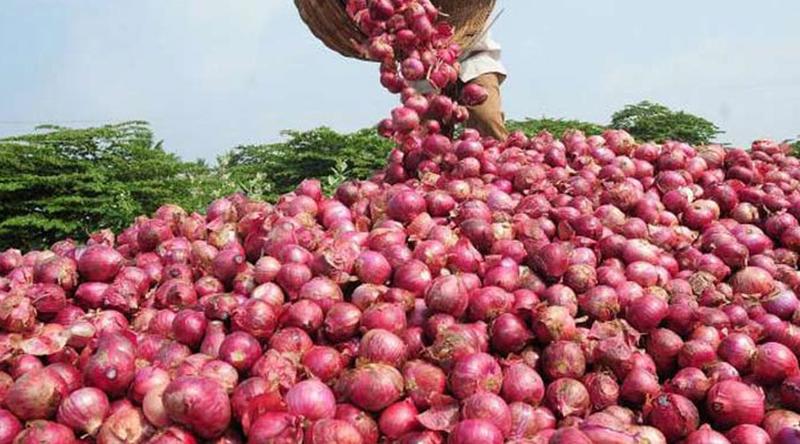 আমদানির ঘোষণায় একদিনে পেঁয়াজের দাম কমলো কেজিতে ৪০ টাকা