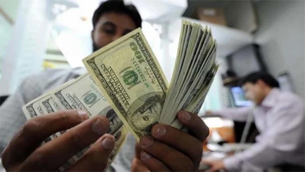 ১৩ ব্যাংক থেকে ২০ কোটি ২০ লাখ ডলার কিনল বাংলাদেশ ব্যাংক