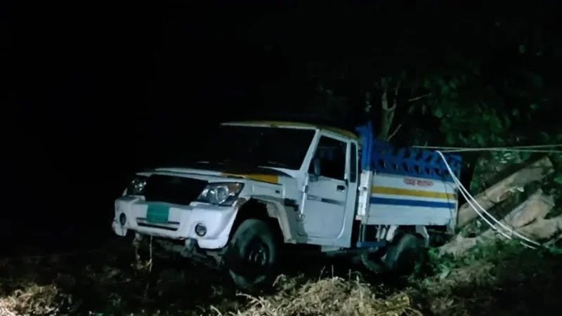 রাঙামাটিতে গাছবোঝাই মিনি পিকআপ খাদে, নিহত ২