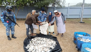 পিকআপ ভ্যান থেকে ৩৭ মণ জাটকা জব্দ